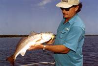 Capt. Frank Bolin with a nice Mosquito Lagoon redfish.