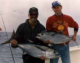 Key West Fishing Charters: Blackfin Tunas.   Fishing Key West Fishing Key West