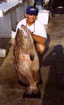 Key West Fishing Charters: Grouper.   Fishing Key West Fishing Key West