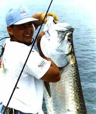 Key West Fishing Charters: Tarpon.   Fishing Key West Fishing Key West