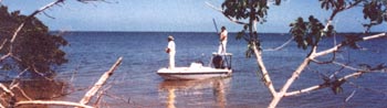 Boat: Fishing charter, fishing guide, Ten Thousand Island, 10,000 Island, Everglades, Everglades National Park