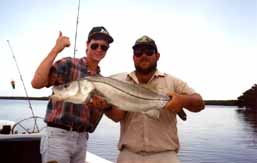 Snook: Fishing charter, fishing guide, Ten Thousand Island, 10,000 Island, Everglades, Everglades National Park