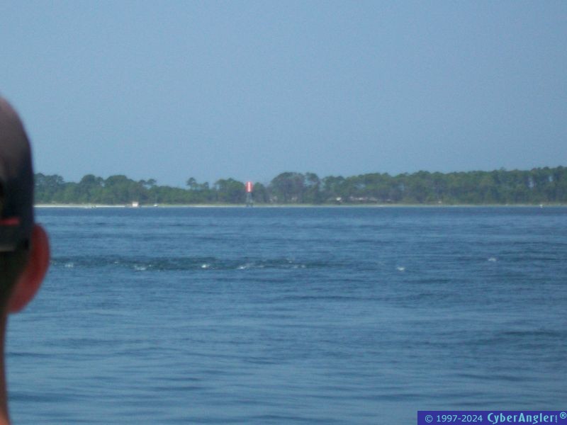 Click to Enlarge Photo