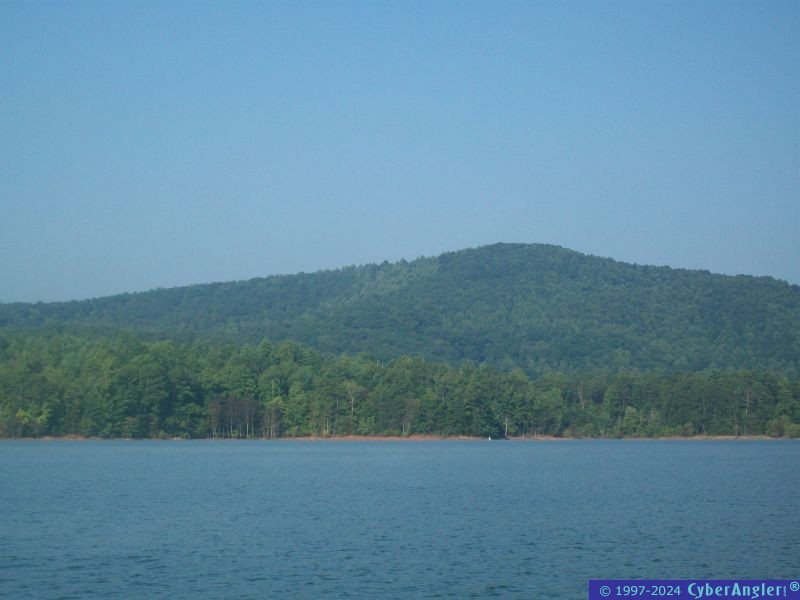 Click to Enlarge Photo