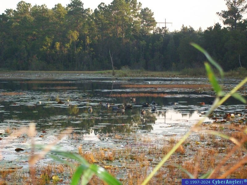 Click to Enlarge Photo