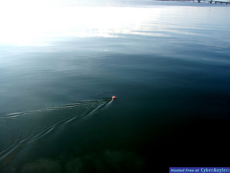 Click to Enlarge Photo