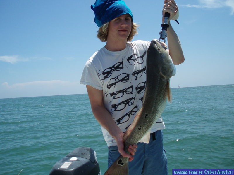 [Image: watermark.php?file=15642&size=1]