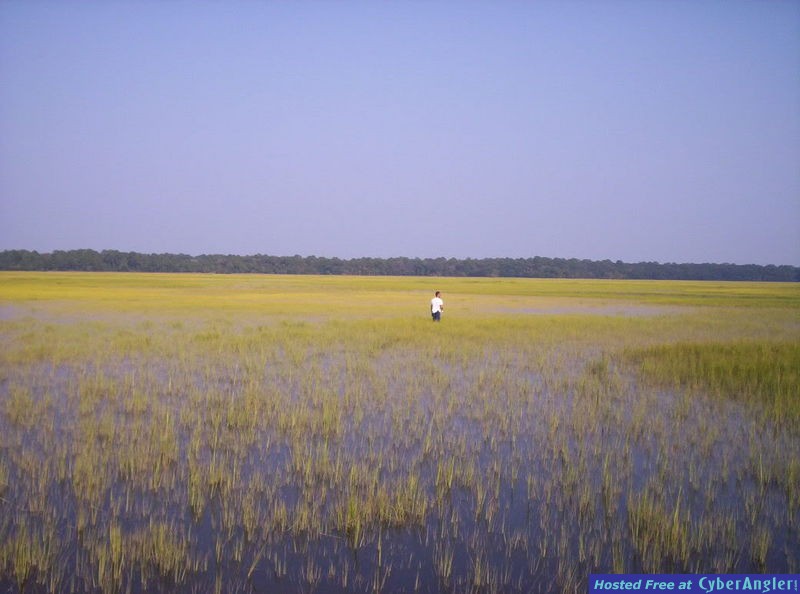 Click to Enlarge Photo