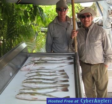 Click to Enlarge Photo