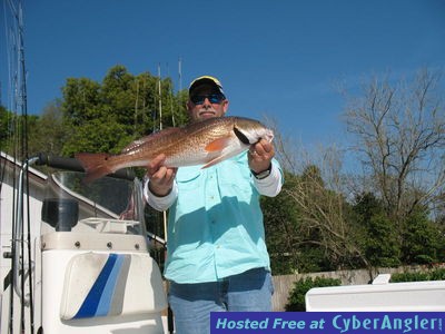Click to Enlarge Photo