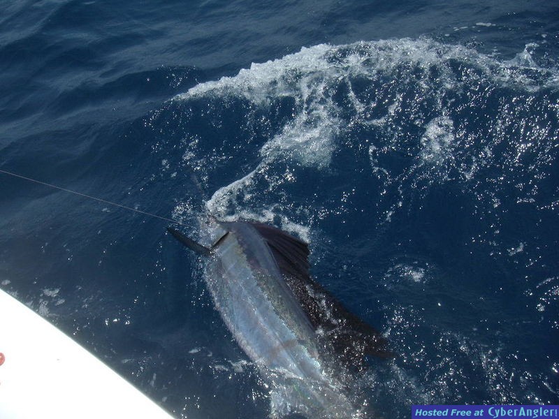 Click to Enlarge Photo