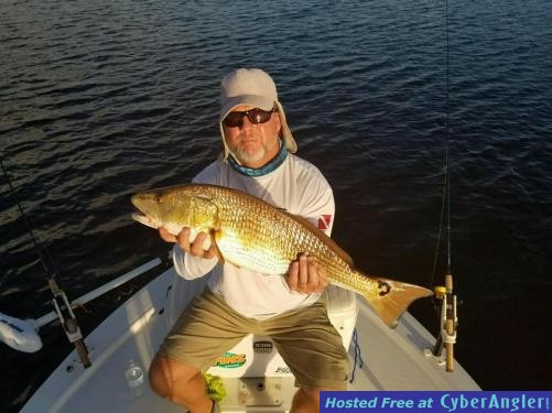 Click to Enlarge Photo