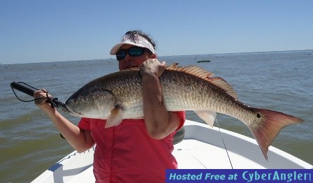 Click to Enlarge Photo