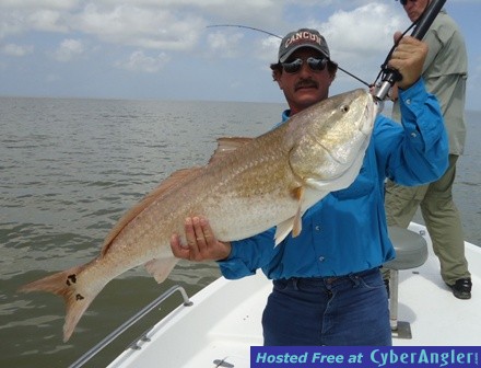 Click to Enlarge Photo