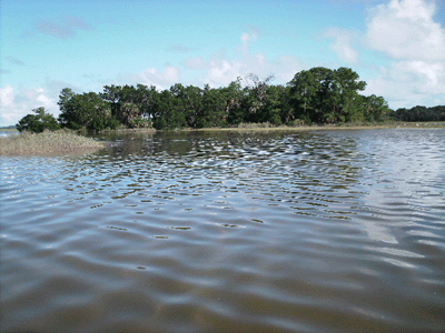 Click to Enlarge Photo