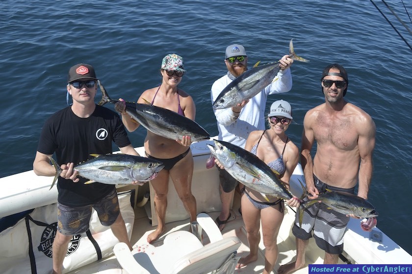 Click to Enlarge Photo