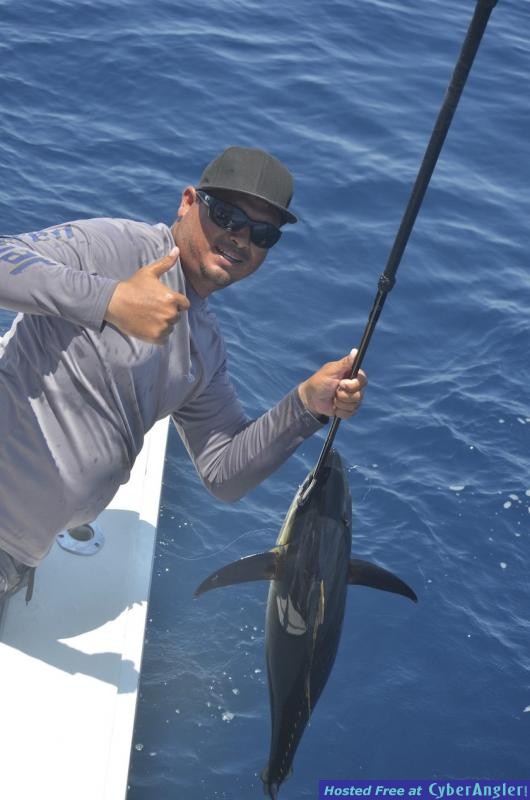 Click to Enlarge Photo