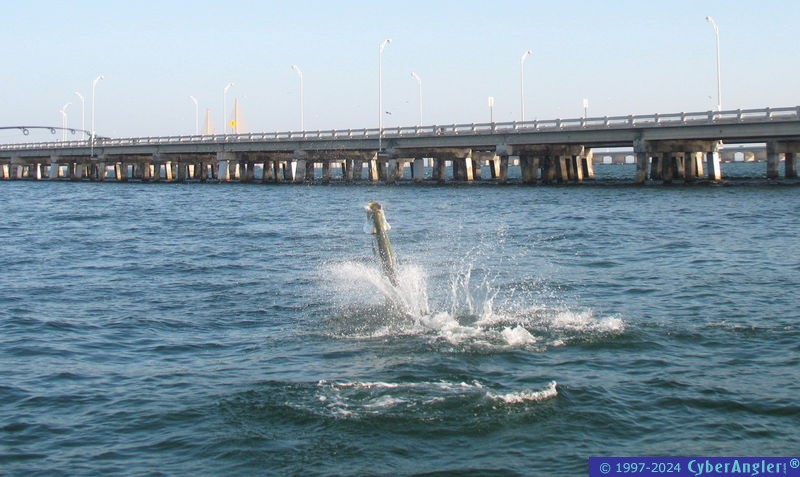 Click to Enlarge Photo