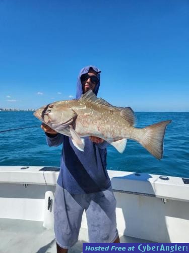 Click to Enlarge Photo