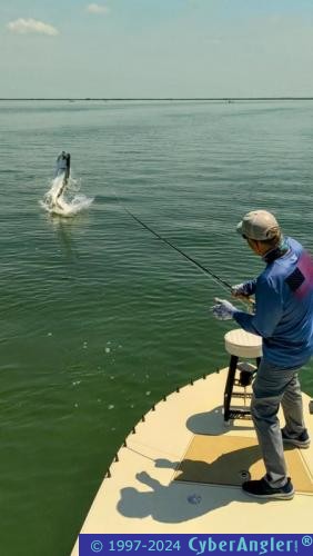 Click to Enlarge Photo