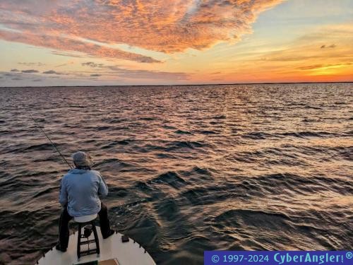 Click to Enlarge Photo