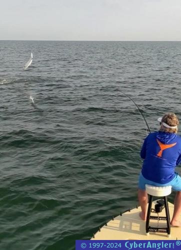 Click to Enlarge Photo