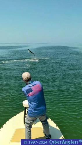 Click to Enlarge Photo