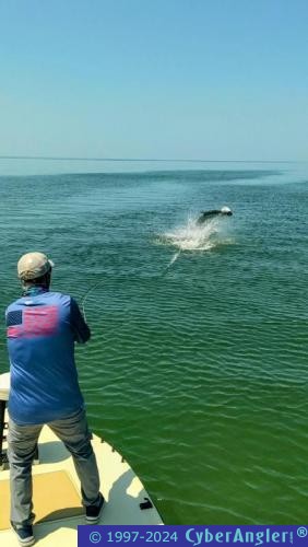 Click to Enlarge Photo