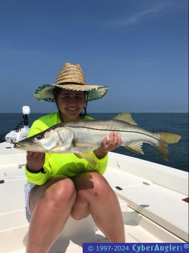 Click to Enlarge Photo