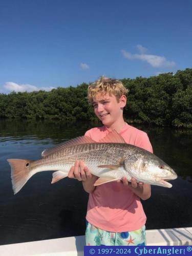 Click to Enlarge Photo