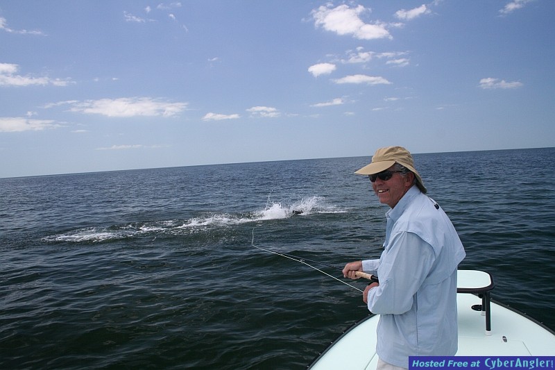 Click to Enlarge Photo