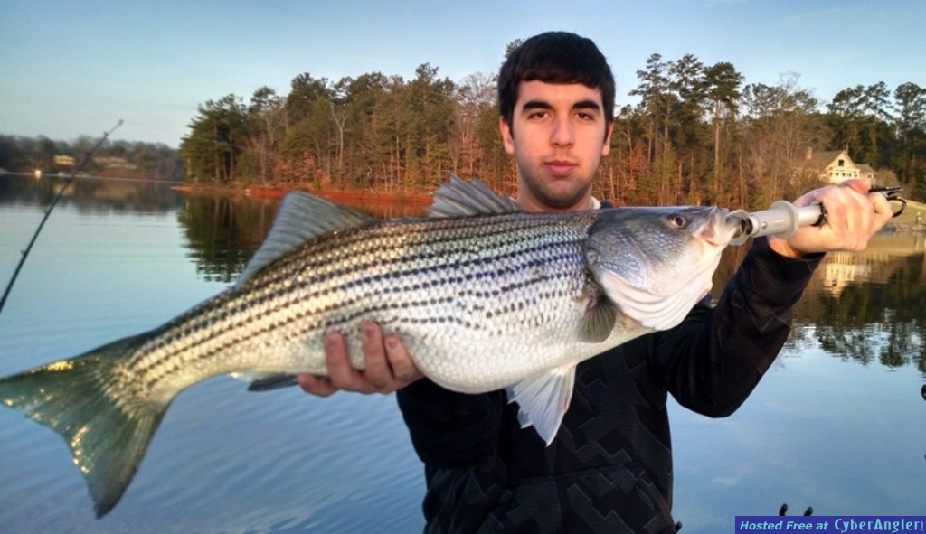 Lake lanier online fishing report