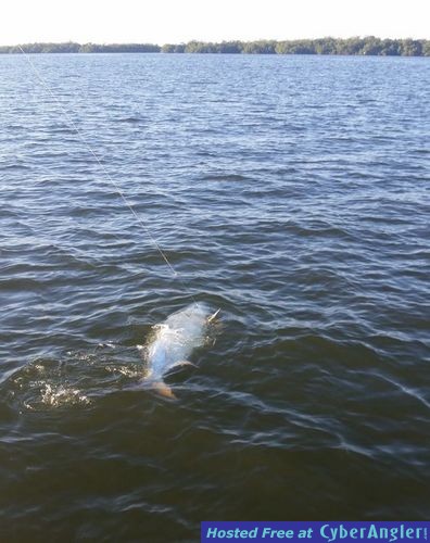 Click to Enlarge Photo