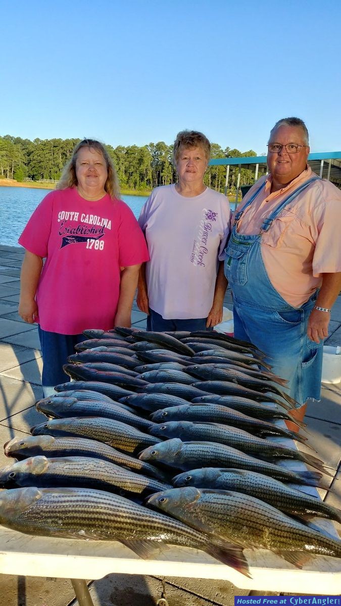 It's umbrella rig time for Thurmond stripers