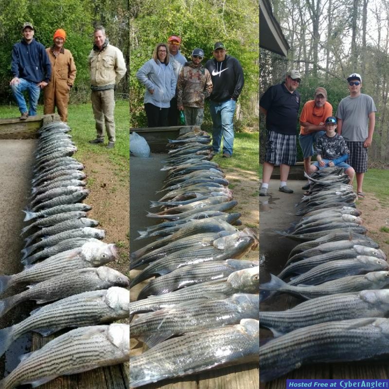 Clark's Hill/ Lake Thurmond Striper and Crappie report